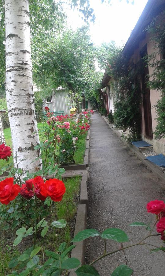 Camping Paradisul Soferilor Onesti Room photo